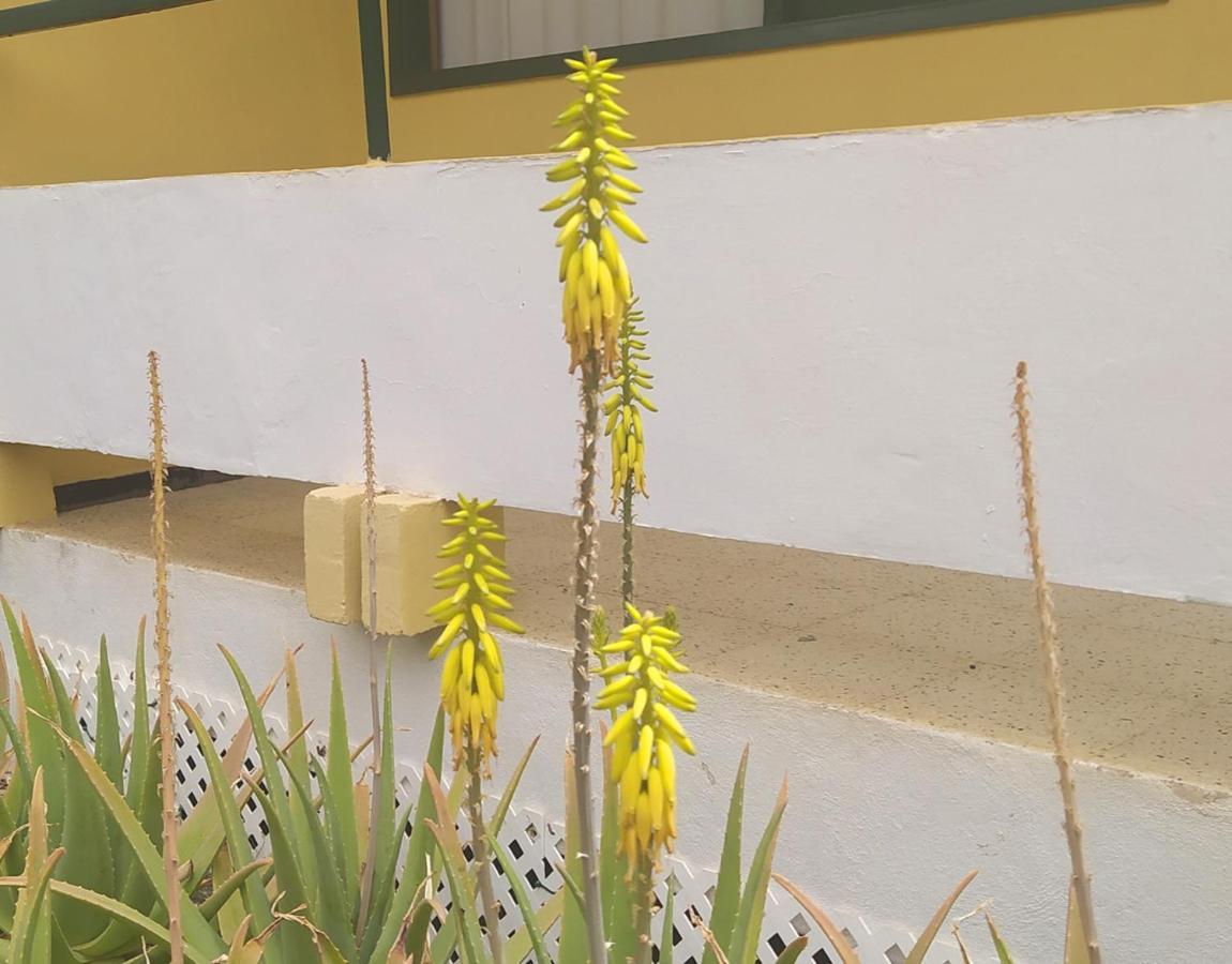 Caroni Apartman Playa del Inglés Kültér fotó
